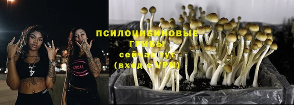 кокс Баксан