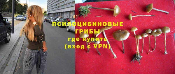 кокс Баксан