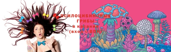 кокс Баксан