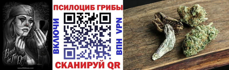 закладка  Тотьма  Галлюциногенные грибы Magic Shrooms 